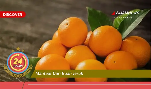 Temukan Manfaat Buah Jeruk untuk Kesehatan, Kecantikan, dan Kehidupan Sehari,hari