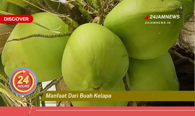 Temukan Manfaat Buah Kelapa dari Akar Hingga Daun, Panduan Lengkap