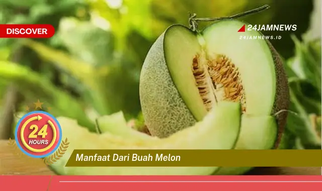 Temukan Manfaat Buah Melon untuk Kesehatan Tubuh Anda