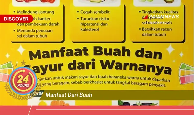 Temukan Manfaat Buah Bagi Kesehatan Tubuh dan Kecantikan Kulit