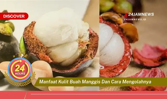 Temukan Manfaat Kulit Manggis yang Luar Biasa dan Cara Mengolahnya dengan Mudah