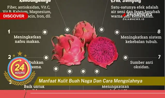 Temukan Manfaat Kulit Buah Naga yang Menakjubkan dan Cara Mengolahnya Menjadi Makanan Sehat