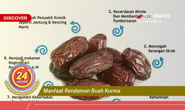 Temukan Manfaat Rendaman Buah Kurma untuk Kesehatan Tubuh Anda