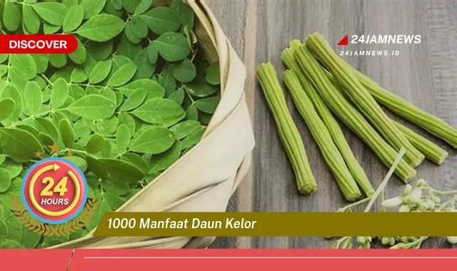 Temukan 1000 Manfaat Daun Kelor untuk Kesehatan, Kecantikan, dan Lainnya