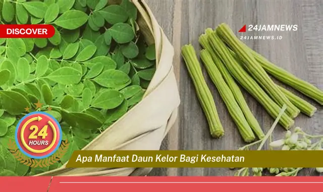 Temukan Manfaat Daun Kelor bagi Kesehatan, Solusi Alami untuk Hidup Lebih Sehat Temukan Manfaat Daun Kelor bagi Kesehatan, Solusi Alami untuk Hidup Lebih Sehat