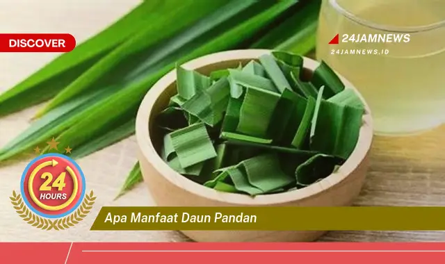 Temukan Manfaat Daun Pandan untuk Kesehatan, Kecantikan, dan Masakan Temukan Manfaat Daun Pandan untuk Kesehatan, Kecantikan, dan Masakan