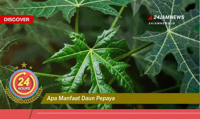 Temukan Manfaat Daun Pepaya untuk Kesehatan Anda, Dari Akar Hingga Daun