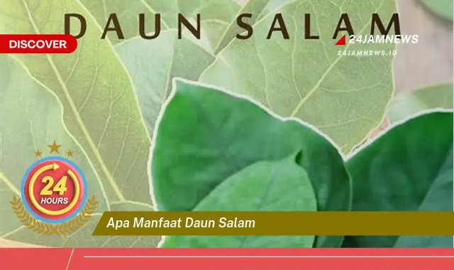 Temukan Manfaat Daun Salam untuk Kesehatan, Dari Mengontrol Gula Darah Hingga Menyehatkan Jantung Temukan Manfaat Daun Salam untuk Kesehatan, Dari Mengontrol Gula Darah Hingga Menyehatkan Jantung