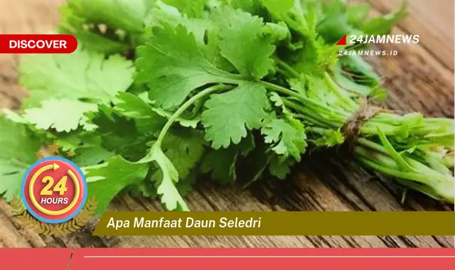 Temukan Manfaat Daun Seledri untuk Kesehatan Tubuh Anda Temukan Manfaat Daun Seledri untuk Kesehatan Tubuh Anda
