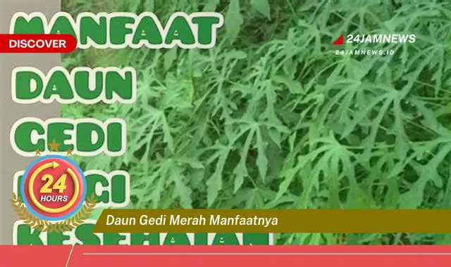 Temukan Manfaat Daun Gedi Merah untuk Kesehatan Anda Temukan Manfaat Daun Gedi Merah untuk Kesehatan Anda