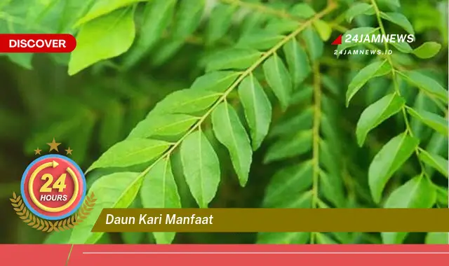 Temukan Segudang Manfaat Daun Kari untuk Kesehatan dan Kecantikan Temukan Segudang Manfaat Daun Kari untuk Kesehatan dan Kecantikan
