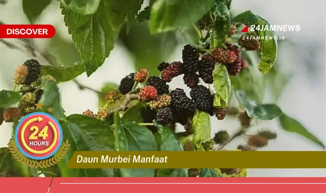 Temukan Manfaat Daun Murbei untuk Kesehatan, Kecantikan, dan Lainnya Temukan Manfaat Daun Murbei untuk Kesehatan, Kecantikan, dan Lainnya