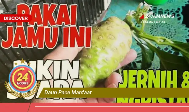 Temukan Manfaat Daun Pace untuk Kesehatan dan Kecantikan Anda Temukan Manfaat Daun Pace untuk Kesehatan dan Kecantikan Anda