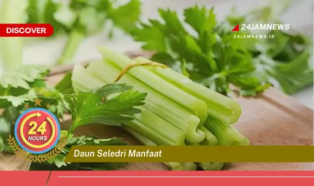 Temukan Segudang Manfaat Daun Seledri untuk Kesehatan Anda Temukan Segudang Manfaat Daun Seledri untuk Kesehatan Anda