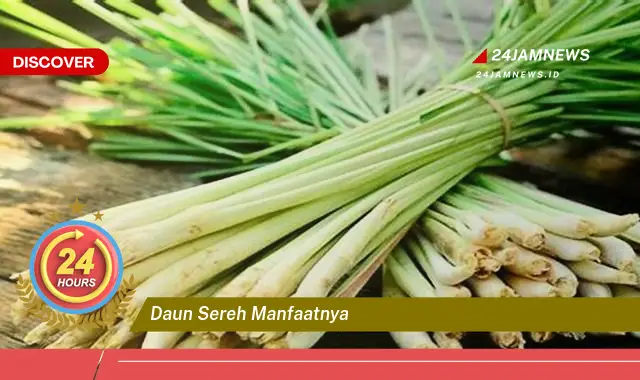 Temukan Manfaat Daun Sereh untuk Kesehatan, Kecantikan, dan Rumah Tangga Temukan Manfaat Daun Sereh untuk Kesehatan, Kecantikan, dan Rumah Tangga