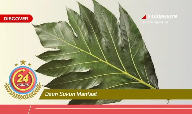 Temukan 10+ Manfaat Daun Sukun untuk Kesehatan dan Kecantikan