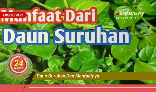 Temukan Manfaat Daun Suruhan untuk Kesehatan dan Kecantikan Temukan Manfaat Daun Suruhan untuk Kesehatan dan Kecantikan