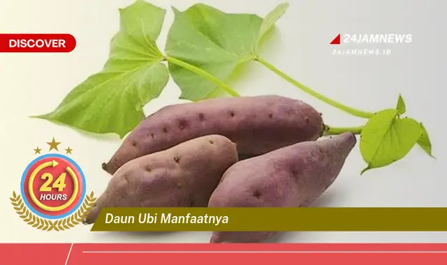 Temukan Manfaat Daun Ubi untuk Kesehatan Anda yang Luar Biasa Temukan Manfaat Daun Ubi untuk Kesehatan Anda yang Luar Biasa
