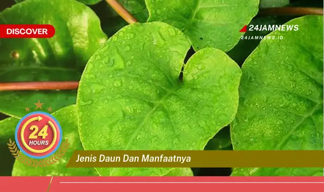 Temukan Manfaat Jenis Daun dan Manfaatnya untuk Kesehatan dan Kecantikan Temukan Manfaat Jenis Daun dan Manfaatnya untuk Kesehatan dan Kecantikan