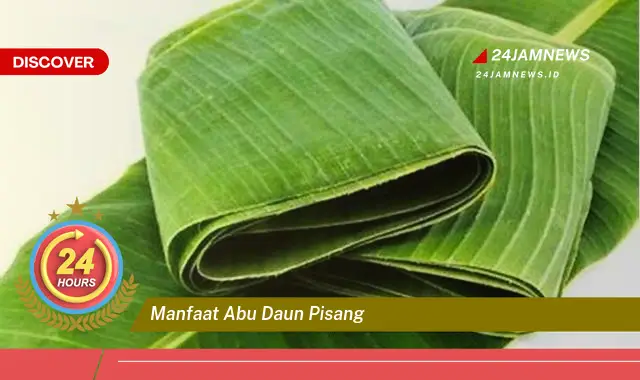 Temukan Manfaat Abu Daun Pisang untuk Kebun dan Rumah Tangga Anda Temukan Manfaat Abu Daun Pisang untuk Kebun dan Rumah Tangga Anda