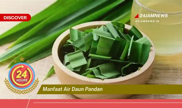 Temukan Manfaat Air Daun Pandan untuk Kesehatan dan Kecantikan Temukan Manfaat Air Daun Pandan untuk Kesehatan dan Kecantikan