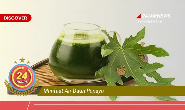 Temukan Manfaat Air Daun Pepaya untuk Kesehatan Anda, Dari Demam Berdarah Hingga Pencernaan Temukan Manfaat Air Daun Pepaya untuk Kesehatan Anda, Dari Demam Berdarah Hingga Pencernaan
