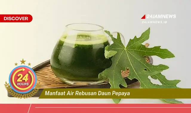 Temukan Manfaat Air Rebusan Daun Pepaya untuk Kesehatan Anda yang Menakjubkan Temukan Manfaat Air Rebusan Daun Pepaya untuk Kesehatan Anda yang Menakjubkan