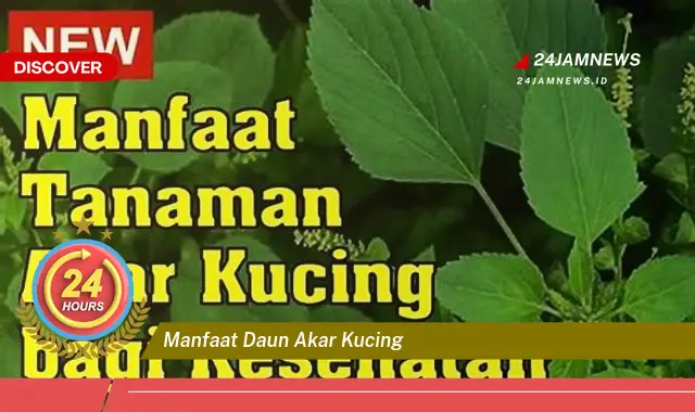 Temukan Manfaat Daun Akar Kucing untuk Kesehatan Anda yang Menakjubkan