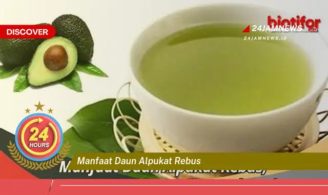 Temukan Manfaat Daun Alpukat Rebus untuk Kesehatan Anda yang Menakjubkan Temukan Manfaat Daun Alpukat Rebus untuk Kesehatan Anda yang Menakjubkan