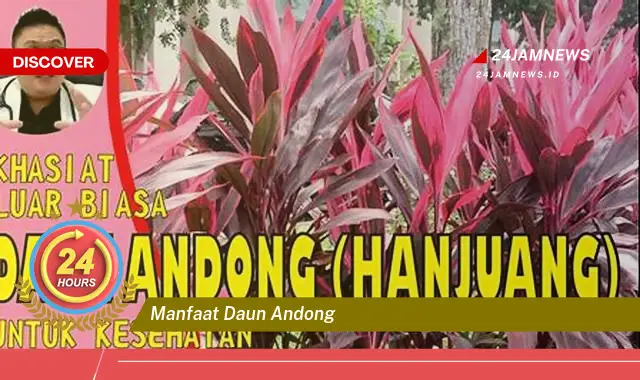 Temukan Manfaat Daun Andong untuk Kesehatan Tubuh Anda Temukan Manfaat Daun Andong untuk Kesehatan Tubuh Anda