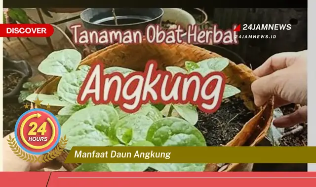 Temukan Manfaat Daun Angkung untuk Kesehatan dan Kecantikan Anda