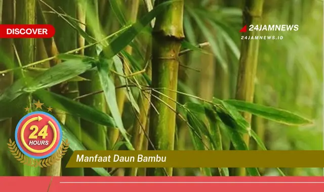 Temukan Manfaat Daun Bambu untuk Kesehatan, Kecantikan, dan Rumah Tangga Temukan Manfaat Daun Bambu untuk Kesehatan, Kecantikan, dan Rumah Tangga