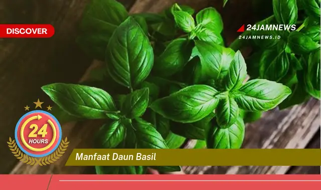 Temukan Manfaat Daun Basil, Panduan Lengkap untuk Kesehatan dan Kegunaan di Dapur Temukan Manfaat Daun Basil, Panduan Lengkap untuk Kesehatan dan Kegunaan di Dapur