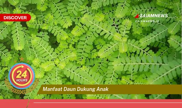 Temukan Manfaat Daun Dukung Anak untuk Kesehatan dan Pertumbuhan Si Kecil Temukan Manfaat Daun Dukung Anak untuk Kesehatan dan Pertumbuhan Si Kecil