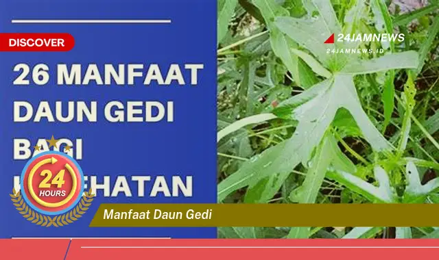 Temukan Manfaat Daun Gedi untuk Kesehatan Tubuh Anda Temukan Manfaat Daun Gedi untuk Kesehatan Tubuh Anda