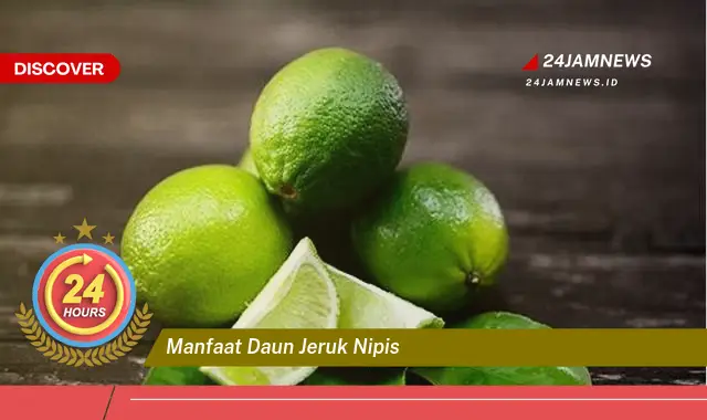 Temukan Manfaat Daun Jeruk Nipis untuk Kesehatan Tubuh Anda Temukan Manfaat Daun Jeruk Nipis untuk Kesehatan Tubuh Anda