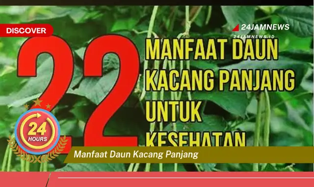Temukan Manfaat Daun Kacang Panjang untuk Kesehatan, Dari Meningkatkan Imunitas Hingga Mengatasi Anemia Temukan Manfaat Daun Kacang Panjang untuk Kesehatan, Dari Meningkatkan Imunitas Hingga Mengatasi Anemia