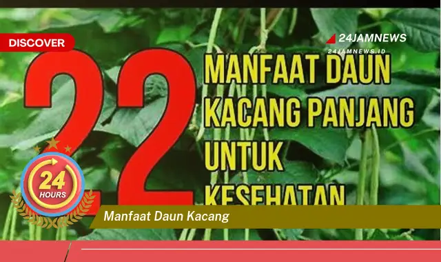 Temukan Manfaat Daun Kacang untuk Kesehatan, Kecantikan, dan Masakan Temukan Manfaat Daun Kacang untuk Kesehatan, Kecantikan, dan Masakan