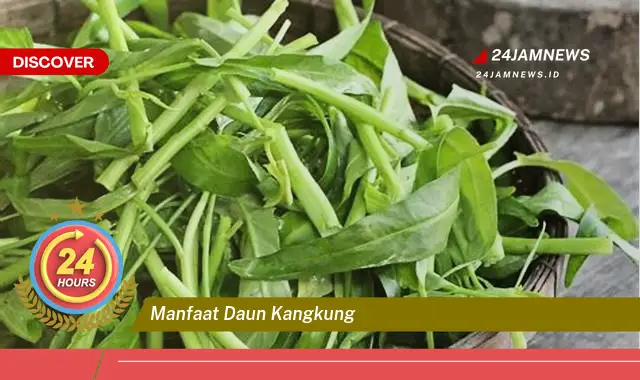 Temukan Manfaat Daun Kangkung untuk Kesehatan, Kecantikan, dan Resep Lezat Temukan Manfaat Daun Kangkung untuk Kesehatan, Kecantikan, dan Resep Lezat