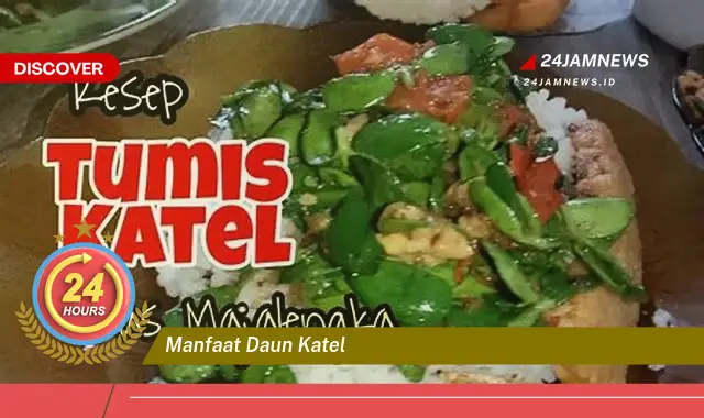 Temukan Manfaat Daun Katel untuk Kesehatan, Khasiat, Cara Penggunaan, dan Efek Samping Temukan Manfaat Daun Katel untuk Kesehatan, Khasiat, Cara Penggunaan, dan Efek Samping