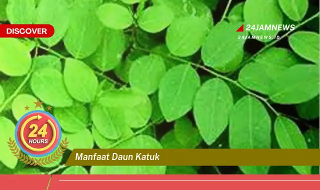 Temukan Manfaat Daun Katuk untuk Ibu Menyusui, ASI Booster Alami dan Tips Konsumsi Temukan Manfaat Daun Katuk untuk Ibu Menyusui, ASI Booster Alami dan Tips Konsumsi