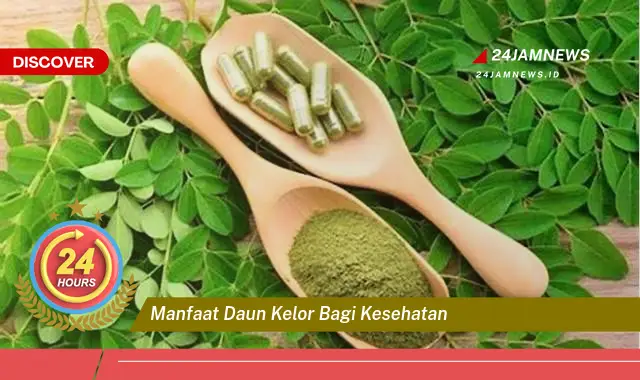 Temukan Manfaat Daun Kelor bagi Kesehatan, Panduan Lengkap untuk Hidup Sehat Temukan Manfaat Daun Kelor bagi Kesehatan, Panduan Lengkap untuk Hidup Sehat