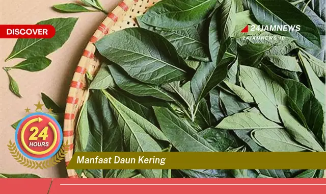 Temukan Manfaat Daun Kering, Ragam Kegunaan untuk Kesehatan, Kecantikan, dan Rumah Tangga Temukan Manfaat Daun Kering, Ragam Kegunaan untuk Kesehatan, Kecantikan, dan Rumah Tangga