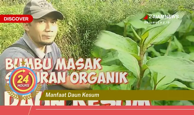 Temukan Manfaat Daun Kesum untuk Kesehatan Tubuh Anda