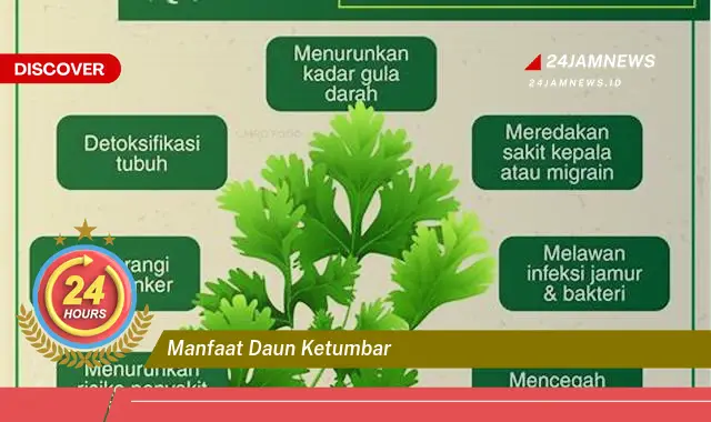 Temukan Manfaat Daun Ketumbar untuk Kesehatan Tubuh Anda Temukan Manfaat Daun Ketumbar untuk Kesehatan Tubuh Anda