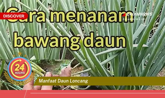 Temukan Manfaat Daun Loncang untuk Kesehatan Tubuh Anda Temukan Manfaat Daun Loncang untuk Kesehatan Tubuh Anda