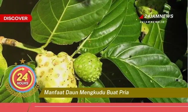 Temukan Manfaat Daun Mengkudu untuk Kesehatan Pria, Meningkatkan Stamina dan Vitalitas Temukan Manfaat Daun Mengkudu untuk Kesehatan Pria, Meningkatkan Stamina dan Vitalitas