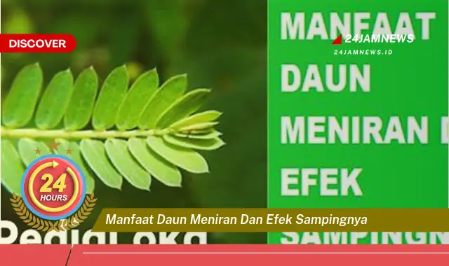 Temukan Manfaat Daun Meniran untuk Kesehatan dan Efek Samping yang Perlu Diwaspadai Temukan Manfaat Daun Meniran untuk Kesehatan dan Efek Samping yang Perlu Diwaspadai