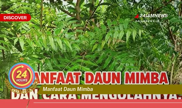 Temukan Manfaat Daun Mimba untuk Kesehatan, Kecantikan, dan Rumah Tangga