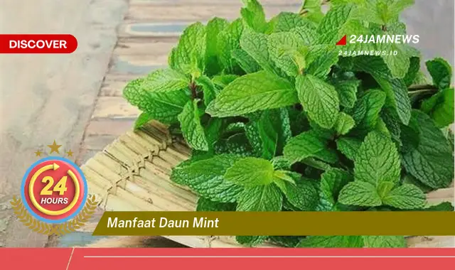 Temukan 10+ Manfaat Daun Mint untuk Kesehatan, Kecantikan, dan Lainnya Temukan 10+ Manfaat Daun Mint untuk Kesehatan, Kecantikan, dan Lainnya